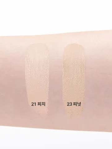 BANILA CO Covericious Power Fit Concealer 5.5g